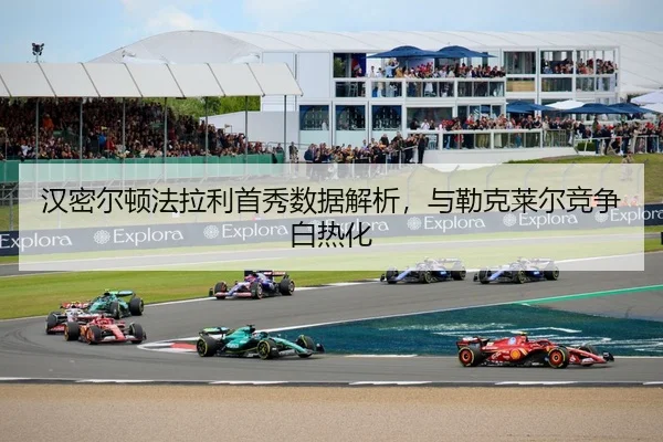 han-mi-er-dun-fa-la-li-shou-xiu-shu-ju-jie-xi-yu-lei-ke-lai-er-jing-zheng-bai-re-hua-2-334.jpg