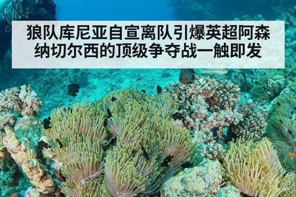 狼队库尼亚自宣离队引爆英超阿森纳切尔西的顶级争夺战一触即发